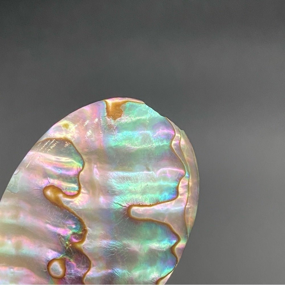EarringsGenuine Mother of Pearl Large Oval Disc Clip-On Earrings