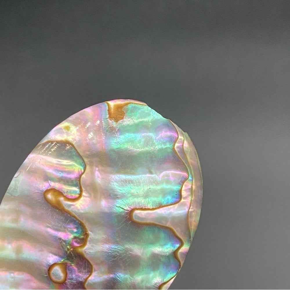 EarringsGenuine Mother of Pearl Large Oval Disc Clip-On Earrings
